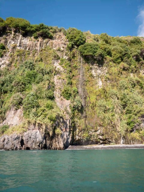 Funchal: Speedboat SEE THE ISLAND AND LIFE AT SEA - FAQs