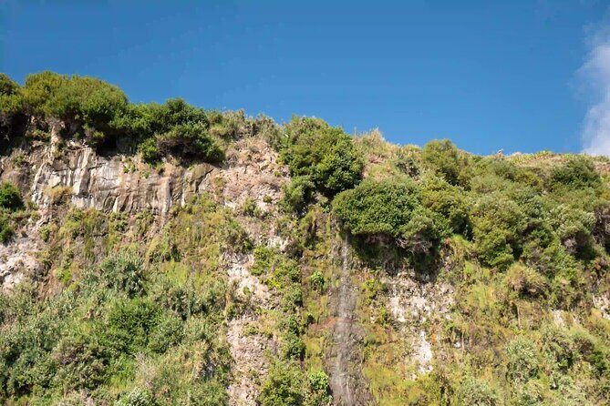 Funchal: Speedboat tour- SEE THE ISLAND AND LIFE AT SEA - Who Would Enjoy This Experience?