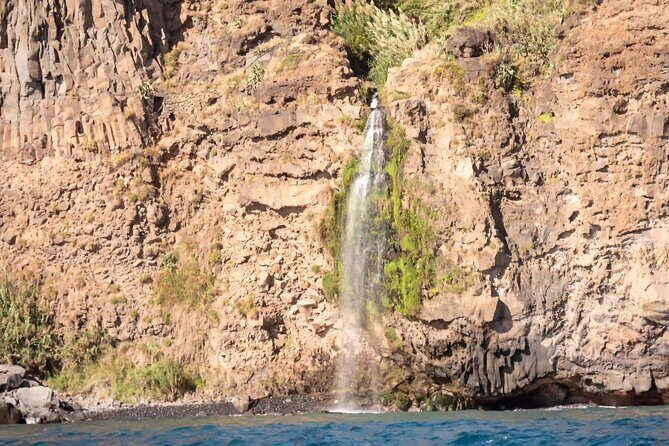 Funchal: Speedboat tour- SEE THE ISLAND AND LIFE AT SEA - FAQ