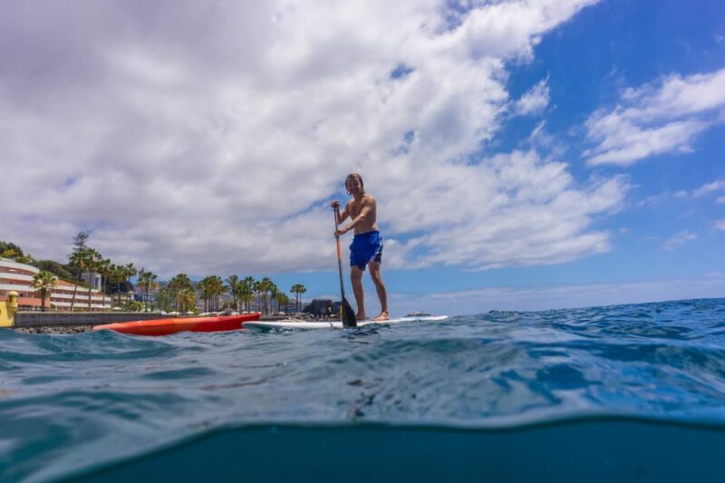 Funchal: SUP Rental or Guided tour with snorkeling - Funchal: SUP Rental or Guided Tour with Snorkeling — An Authentic Coastal Adventure