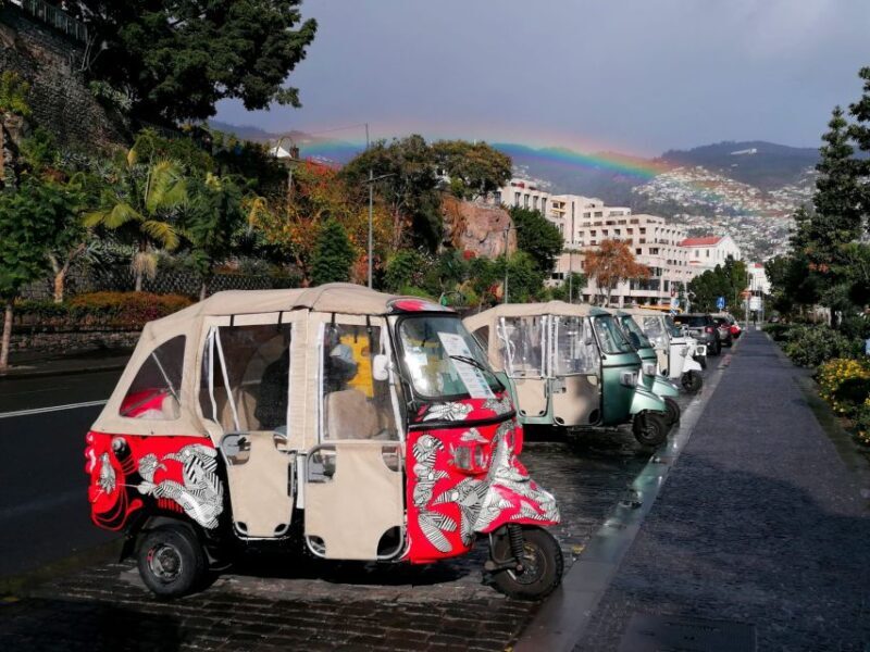 Funchal: Tuk Tuk Ride to Monte Funchal Toboggans - What Makes This Tour Stand Out
