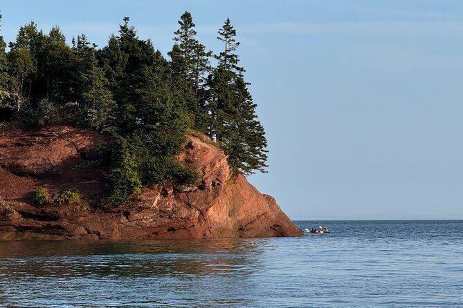 Fundy Shore Tour By Bus - Exploring the Fundy Shore: What’s on the Agenda?
