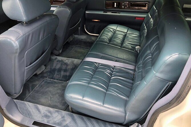 Funeral Limo Tour Hollywood Horror Story: The Black Dahlia - What to Expect and Considerations