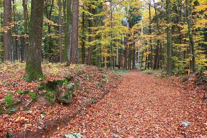 Fünf Seidla Steig ® Beer Hike Food Experience Private Tour (departs Nuremberg) - A Deep Dive into the Fünf Seidla Steig Beer Hike