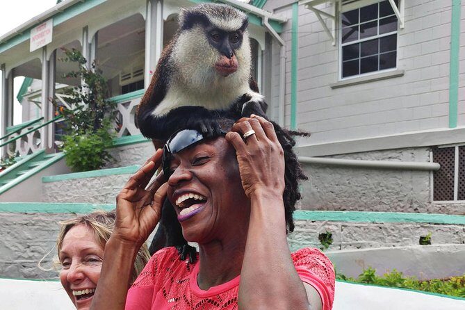 Funtastic 4 x 4 Safari & River Tubing Adventure Grenada - A Deep Dive into the Grenadian Adventure