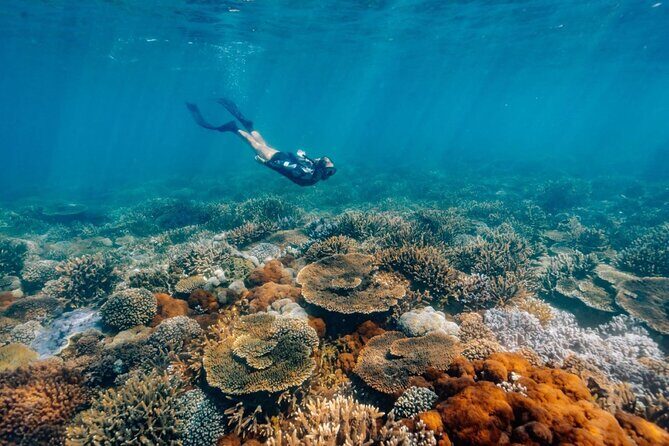 Funtastic Kraken Keppel Island Day Trip and Snorkelling Adventure - The Sum Up