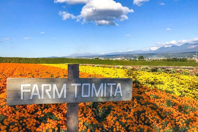 Furano & Biei 6 hour Tour: English Speaking Driver only, No Guide - Exploring the Itinerary in Detail