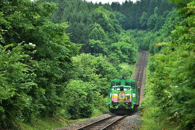 Furano & Biei 6 hour Tour: English Speaking Driver only, No Guide - Who Is This Tour Best For?