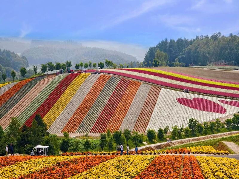 Furano & Biei Blue Pond & Shikisai no Oka One-Day Tour | Departing from Sapporo - Herb Garden Furano and the lunch decision