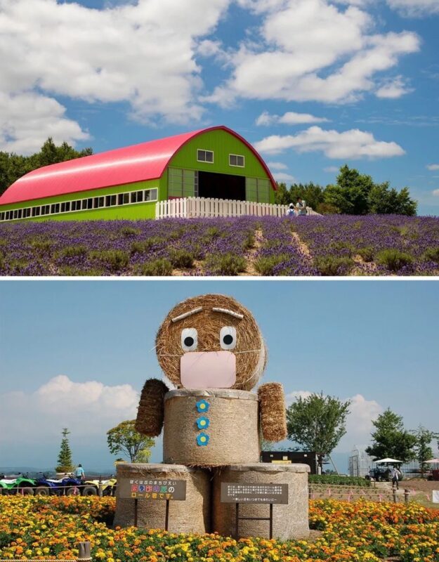 Furano & Biei Blue Pond & Shikisai no Oka One-Day Tour | Departing from Sapporo - Farm Tomita and the seasonal route changes