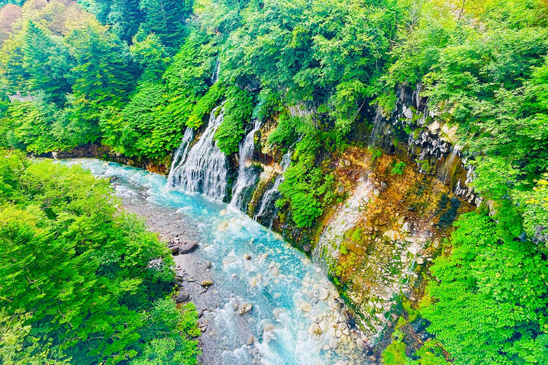 Furano & Biei Chartered One Day Tour: Explore Hokkaidos Beauty - A comfortable ride matters on a long day