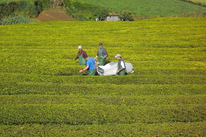 Furnas Full Day Tour | Full Day Furnas Tour (Min. 2 Persons) - Final Thoughts