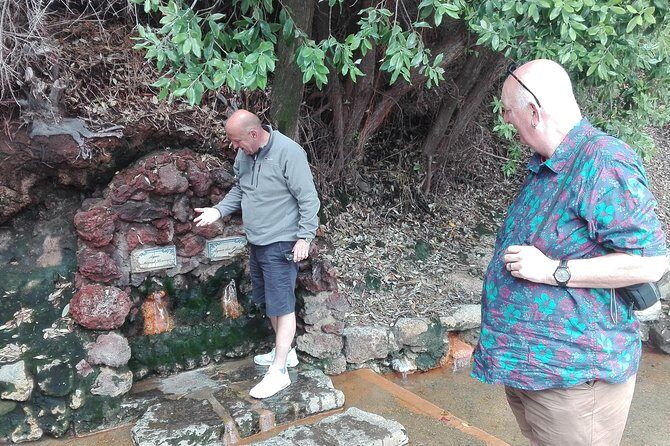 Furnas Lake Hotsprings and Gardens Van Tour - Who Should Consider This Tour?