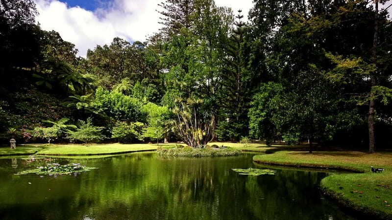Furnas & Terra Nostra Gardens Biologist-guided Tour +lunch - The Value of This Tour