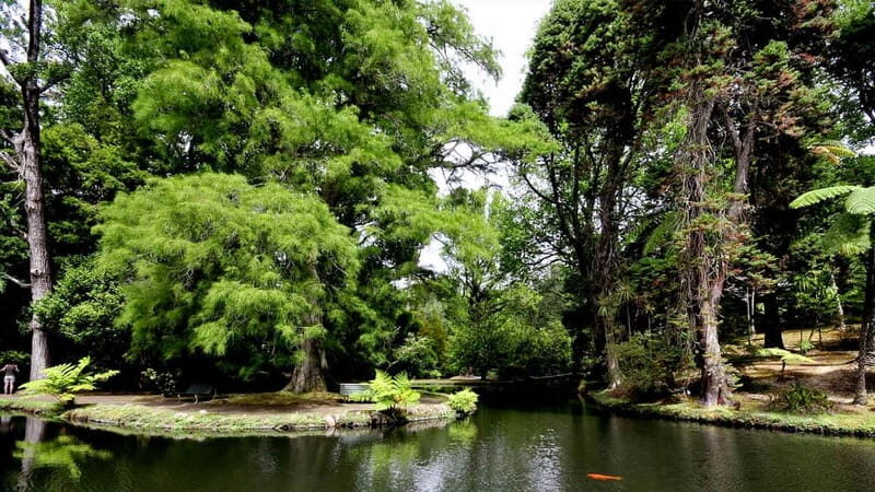 Furnas & Terra Nostra Gardens Biologist-guided Tour +lunch - Who Will Love This Tour?