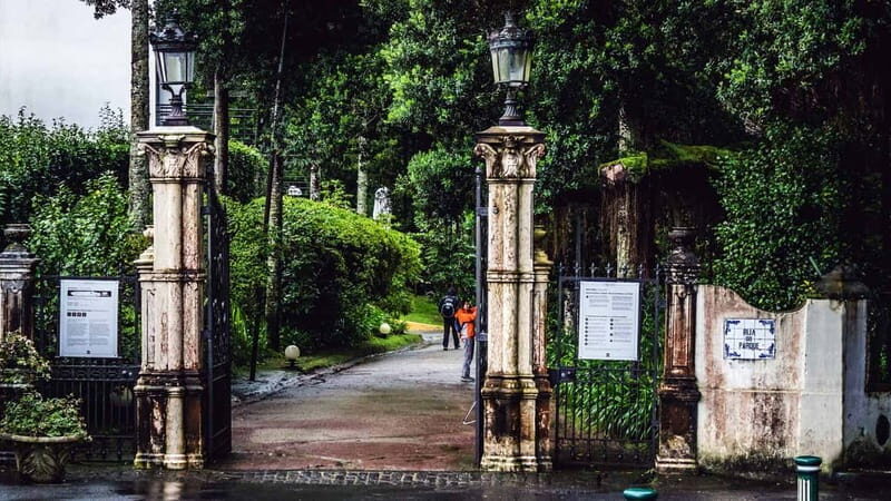 Furnas & Terra Nostra Gardens Biologist-guided Tour +lunch - The Sum Up: Who Should Book This Experience?