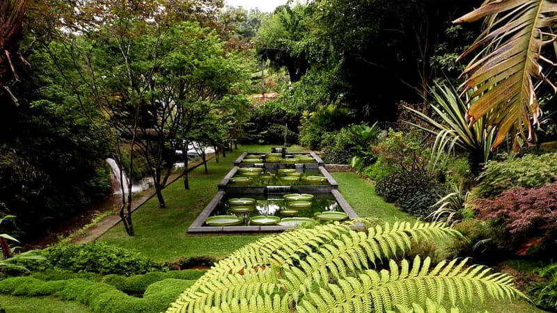 Furnas & Terra Nostra Gardens Biologist-guided Tour +lunch - Frequently Asked Questions