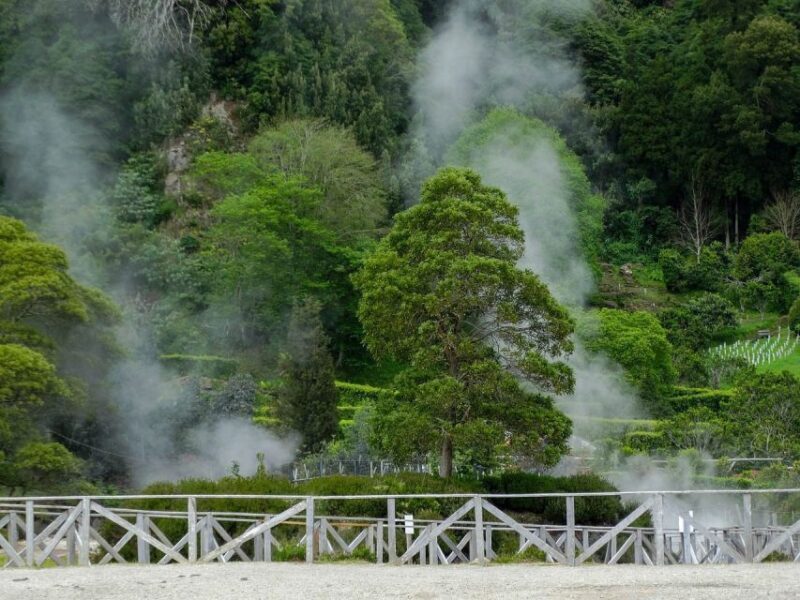 Furnas: Thermal Springs & Tea Plantation Day Tour with Lunch - In-Depth Review of the Furnas: Thermal Springs & Tea Tour