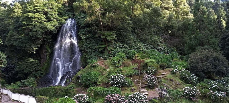 Furnas Volcano: Full Day Tour, Hot Springs & Waterfalls - An In-Depth Look at the Tour
