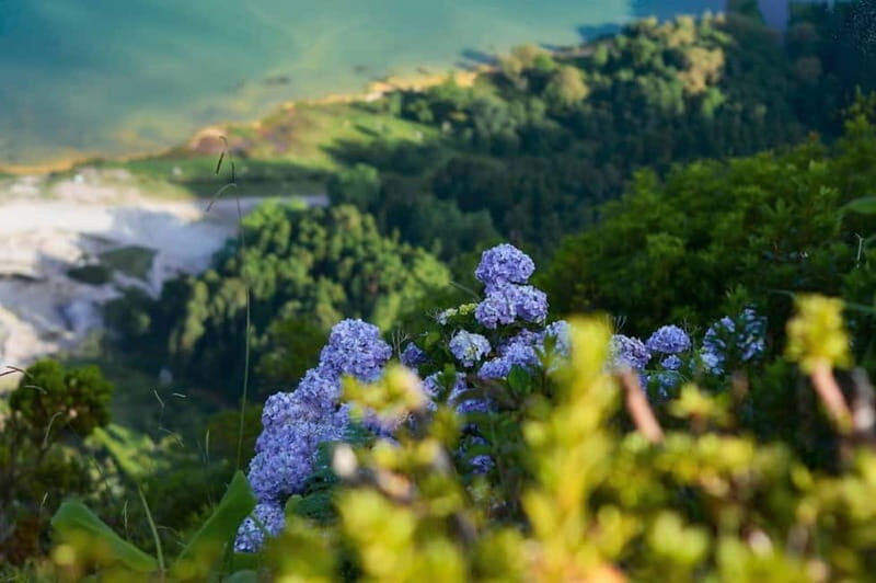Furnas Volcano: Full Day Tour, Hot Springs & Waterfalls - Authentic Experiences That Stand Out