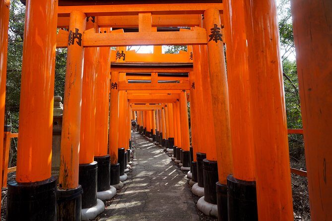 Fushimi Inari Hidden Hiking Tour - Key Points