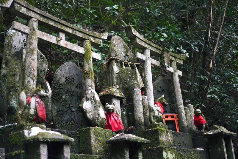Fushimi Inari Hidden Hiking Tour: Escape the Crowds - Is $68.10 good value?