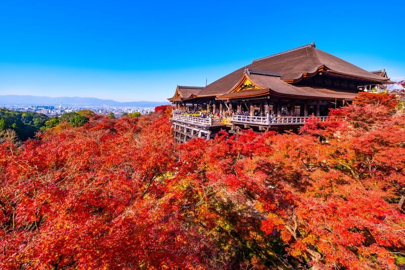 Fushimi Inari-Taisha | Arashiyama |Kiyomizu-Dera Day Tour from Kyoto - Guides, translation and the language question