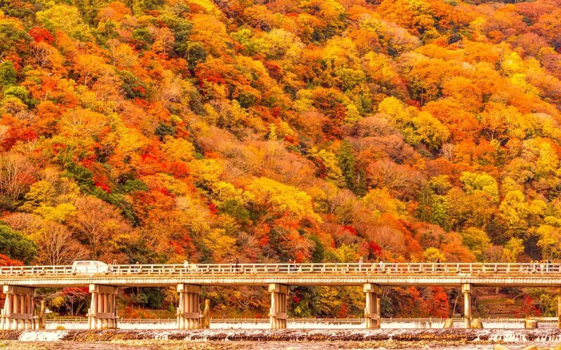 Fushimi Inari-Taisha | Arashiyama |Kiyomizu-Dera Day Tour from Kyoto - Is the pace worth the price?
