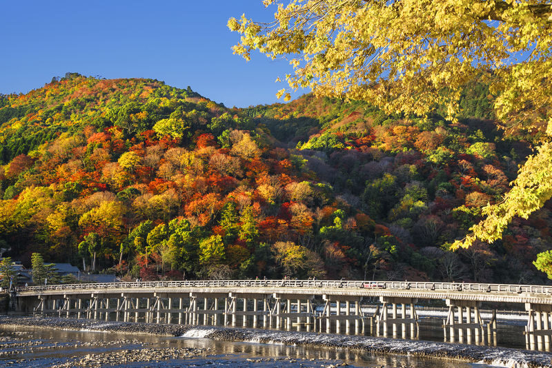 Fushimi Inari-Taisha | Arashiyama |Kiyomizu-Dera Day Tour from Kyoto - Who should book this Kyoto day tour?