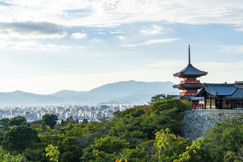 Fushimi Inari-taisha, Arashiyama, Kiyomizudera, Kinkaku-ji Day Tour - Kinkaku-ji: a golden view, with a ticket detail to check