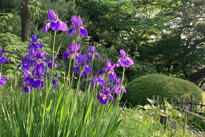 Futakotamagawa Suburban Gems Private Tour in Tokyo - A Closer Look at the Futakotamagawa Private Tour