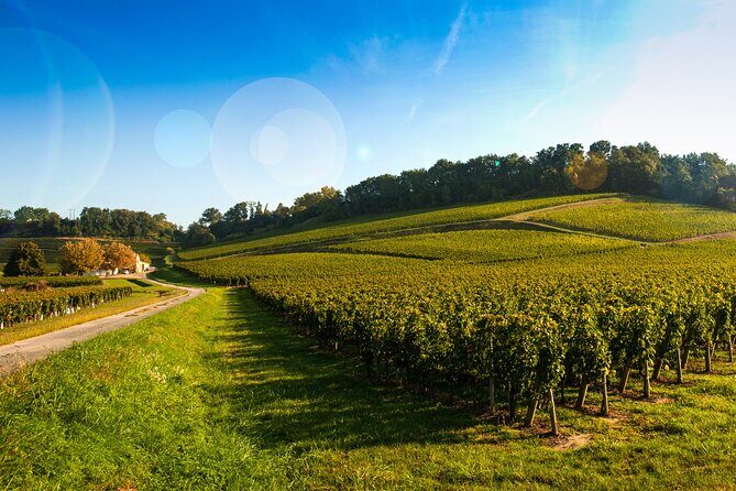 Gaillac Wine Half Day Tour from Toulouse - Key Points