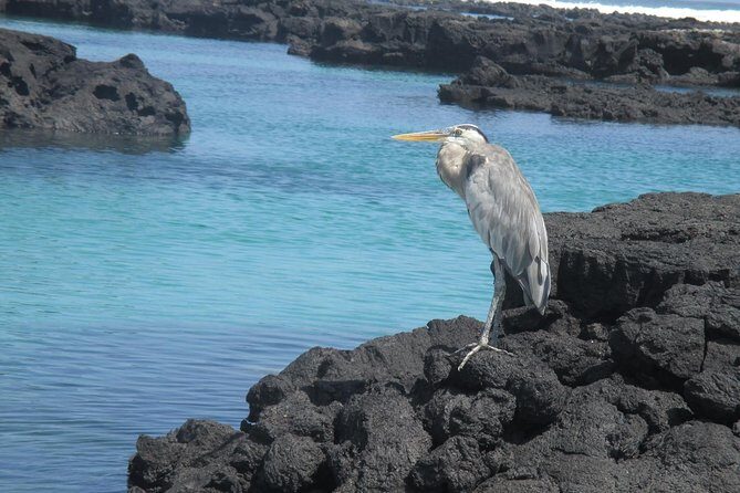 Galapagos 5-Day Tour Beyond the Islands - Final Thoughts: Is It Worth It?