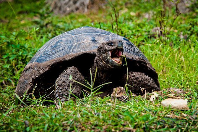 Galapagos By Land And Sea 4d-3n - Key Points