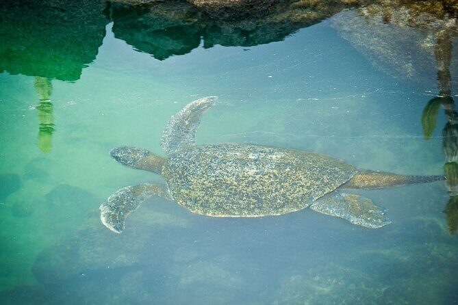 Galapagos By Land And Sea 4d-3n - Final Thoughts