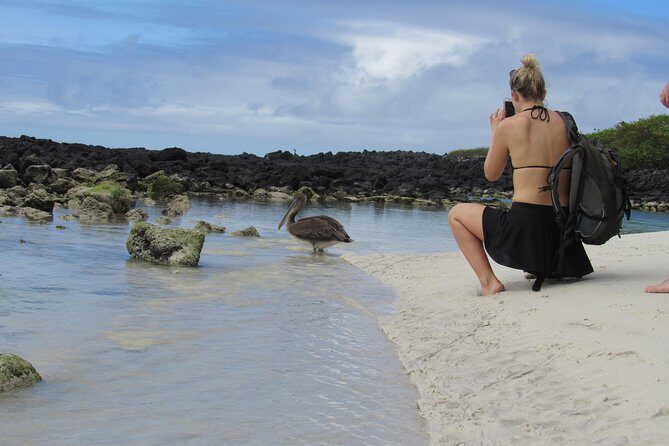 Galapagos Enchanting 3 Islands (5 Days) - Who Should Consider This Tour