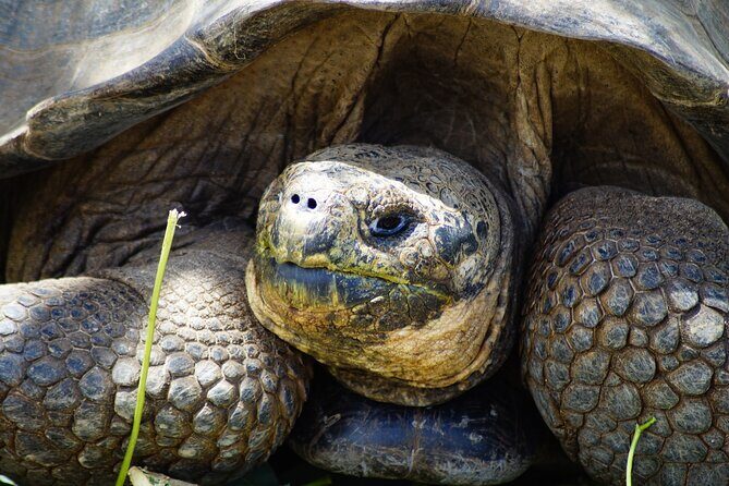 Galapagos Hoping Islands: 7 days, experience 4 islands - The Travel Experience in Detail