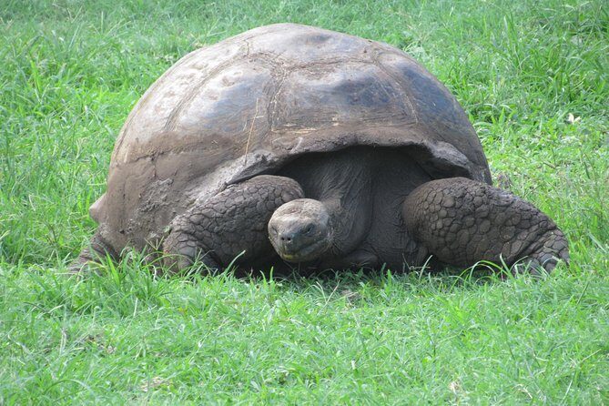 GALAPAGOS IDEAL (3Days) - A Brief Overview of GALAPAGOS IDEAL (3Days)