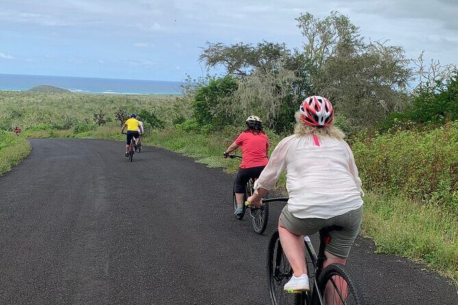 GALAPAGOS in ELECTRIC BICYCLE + Giant Turtles - An In-Depth Look at the Galápagos Electric Bicycle Tour