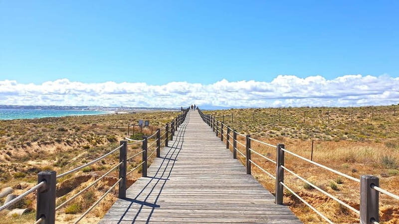 Gale Beach: E-Bike Tour to Cliffside Chapel - Sra da Rocha - Who Will Love This Tour?