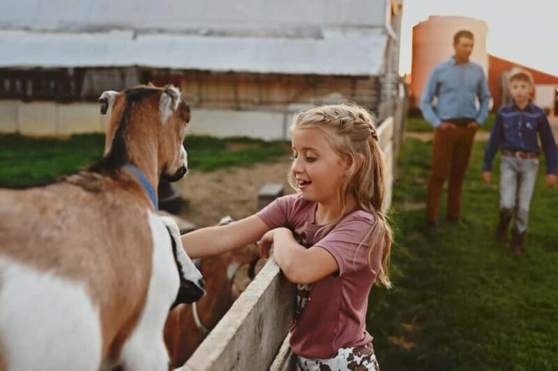 Galena Area: Berning Acres Family Dairy Farm Tour - Key Points