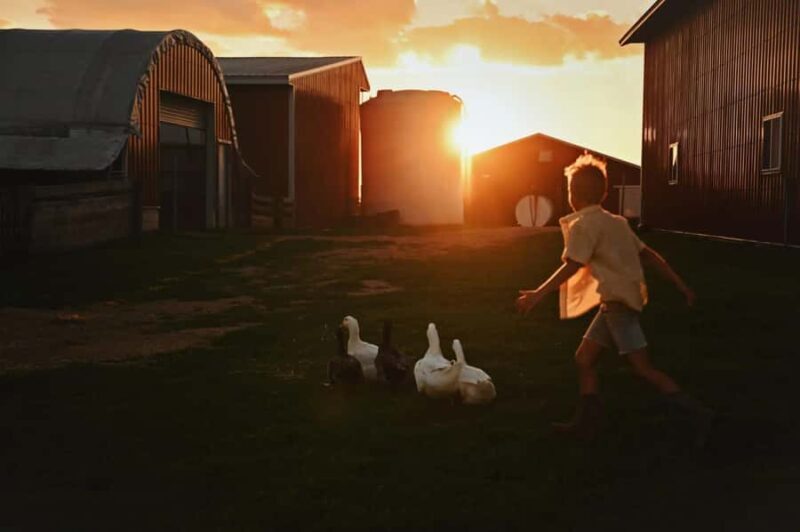 Galena Area: Berning Acres Family Dairy Farm Tour - FAQs