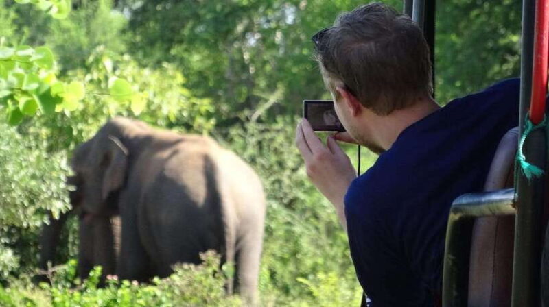 Galle: All Inclusive Morning Leopard Safari in Yala -Private - Who Is This Safari Best For?