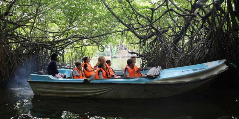 Galle and Bentota Day Tour from Colombo - Galle and Bentota Day Tour from Colombo: A Detailed Look