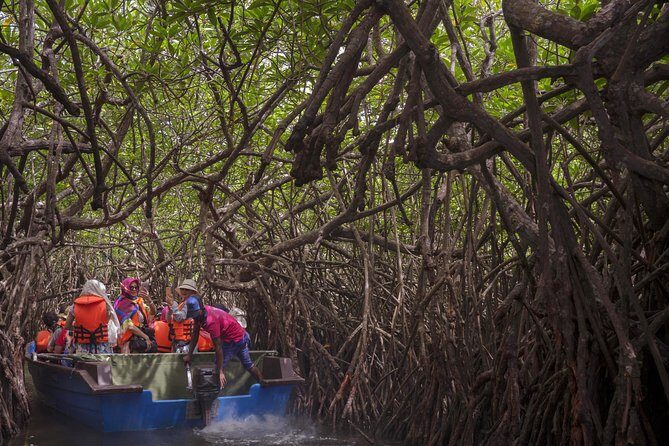 Galle, Bentota, Maadu River Curd at Sunset Day Trip from Colombo - FAQ