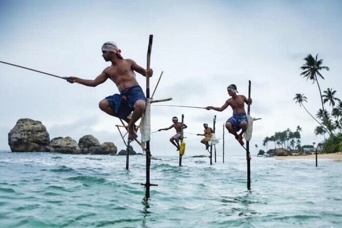 Galle City Sightseeing Tour by Tuk Tuk - Key Points