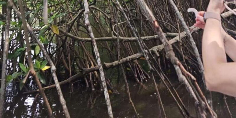 Galle Day Tour From Ahungalla/Kosgoda/Bentota/Beruwala - Frequently Asked Questions