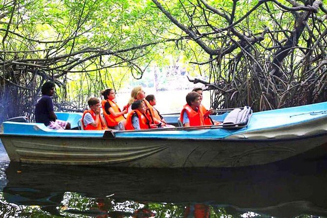 Galle Day Tour from Colombo or Negombo by Private Car , Van with Driver - What Travelers Say: Authentic Experiences and Honest Feedback