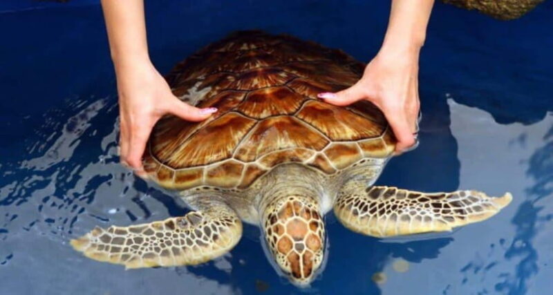 Galle Day Tour - Who Will Love This Tour?