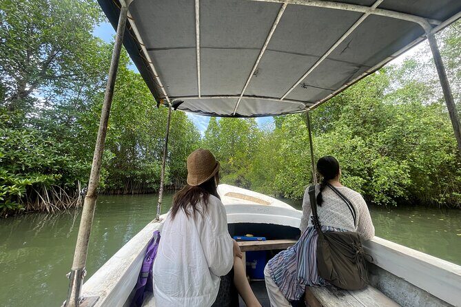 Galle Day Tour with Turtle Hatchery & River Boat Safari - Who Is This Tour Best For?